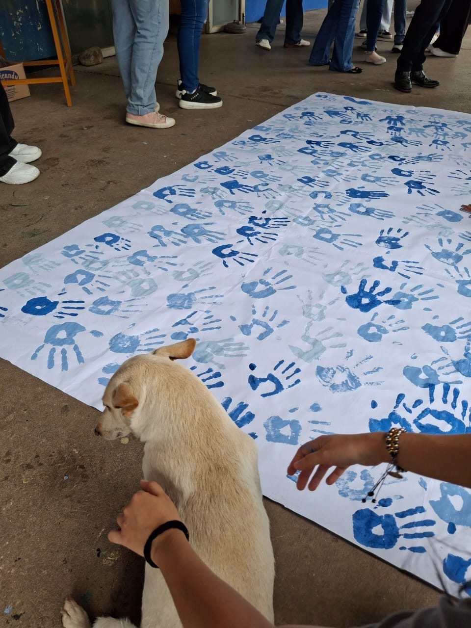 Campana Alpha — foto 20