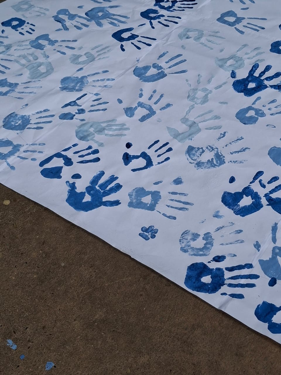 Campana Alpha — foto 47