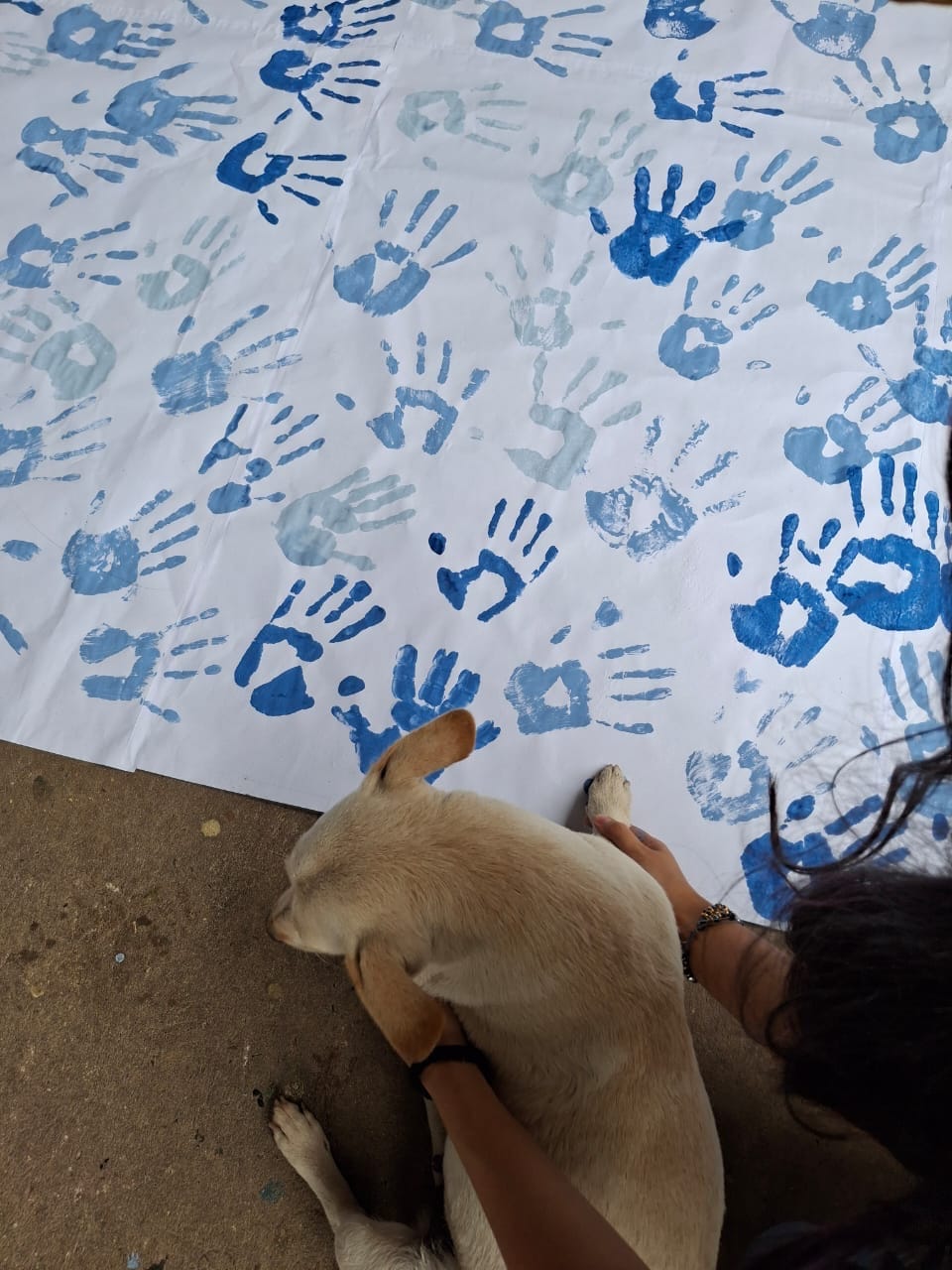 Campana Alpha — foto 51