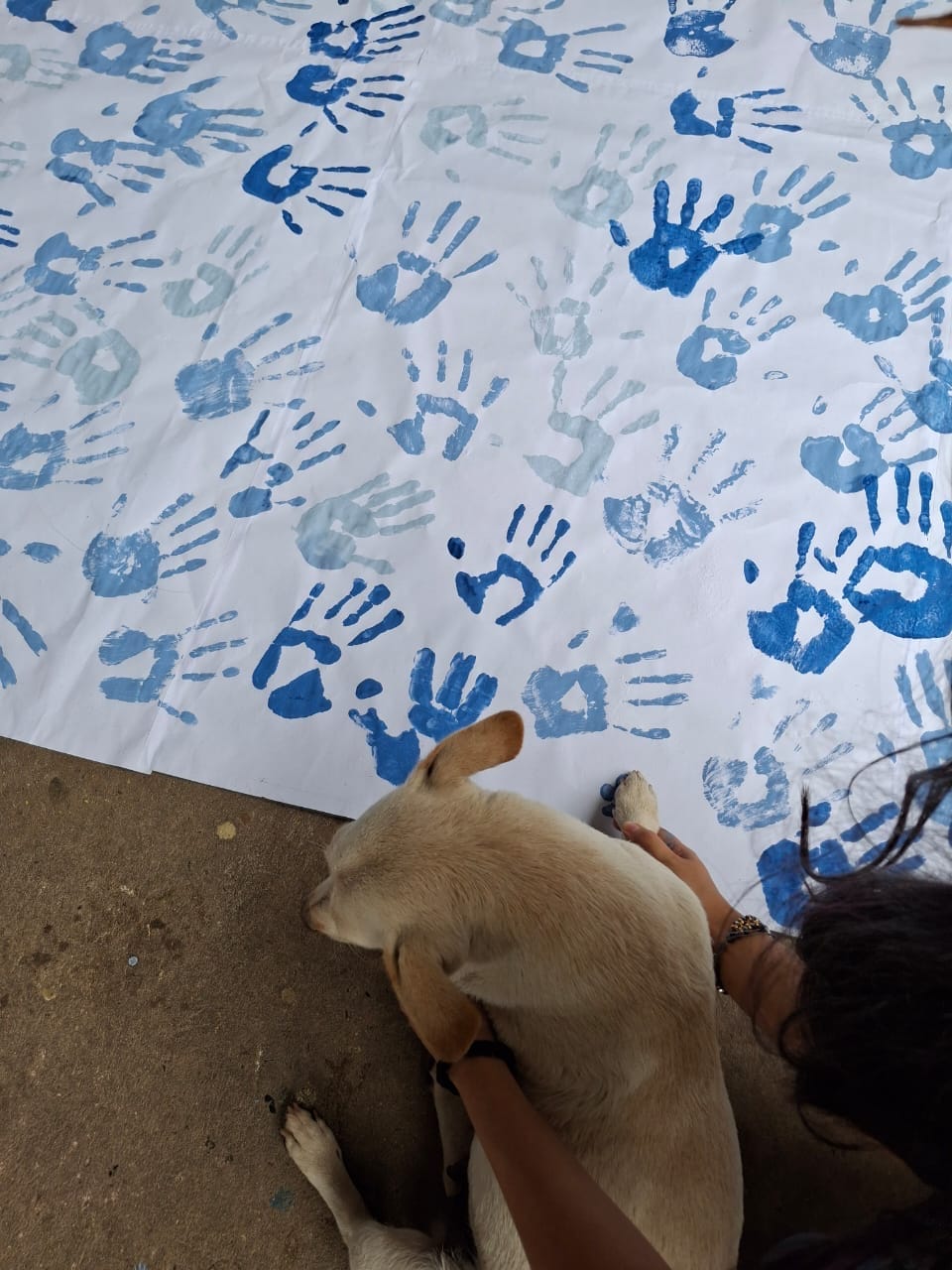 Campana Alpha — foto 65