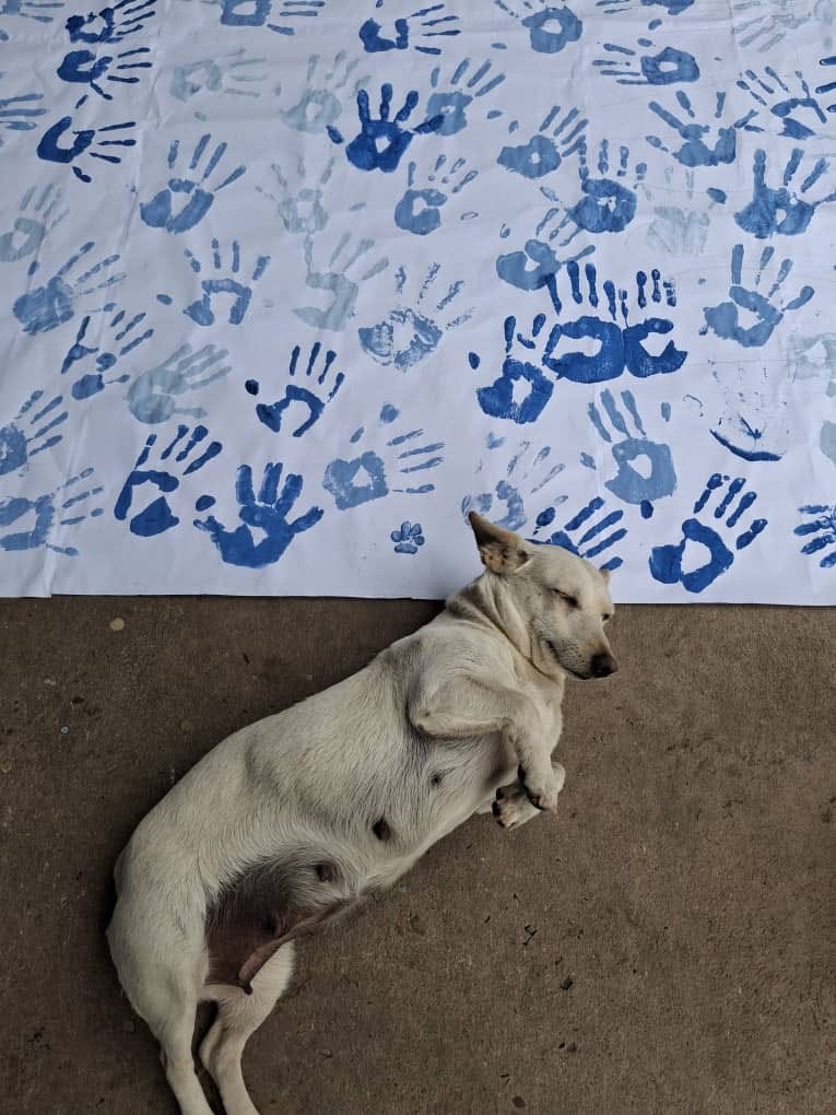 Campana Alpha — foto 8
