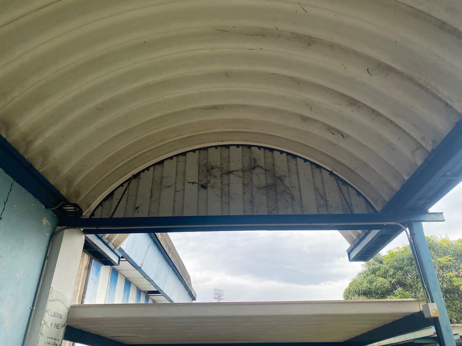 Campana Alpha — foto 84