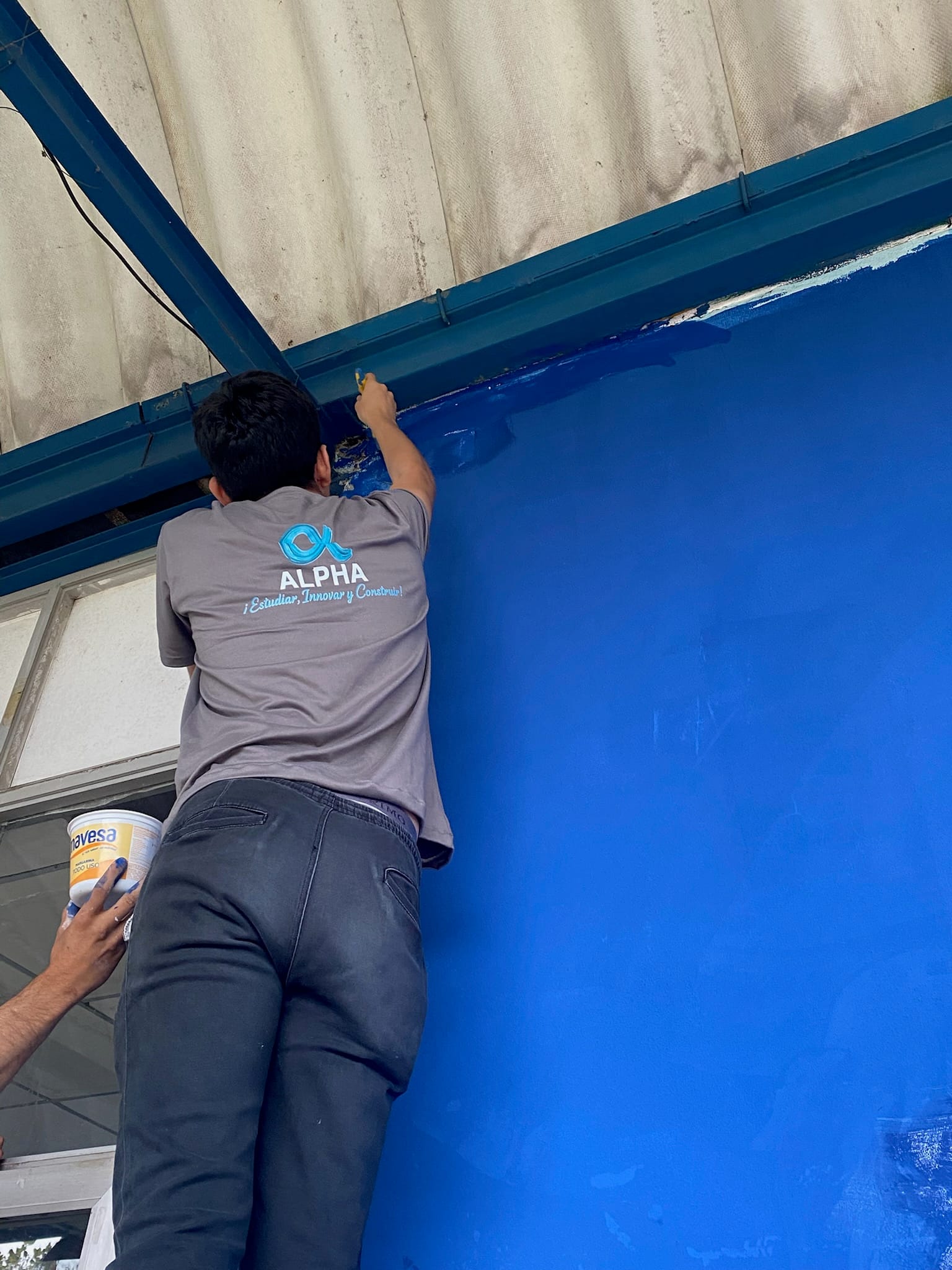 Campana Alpha — foto 86