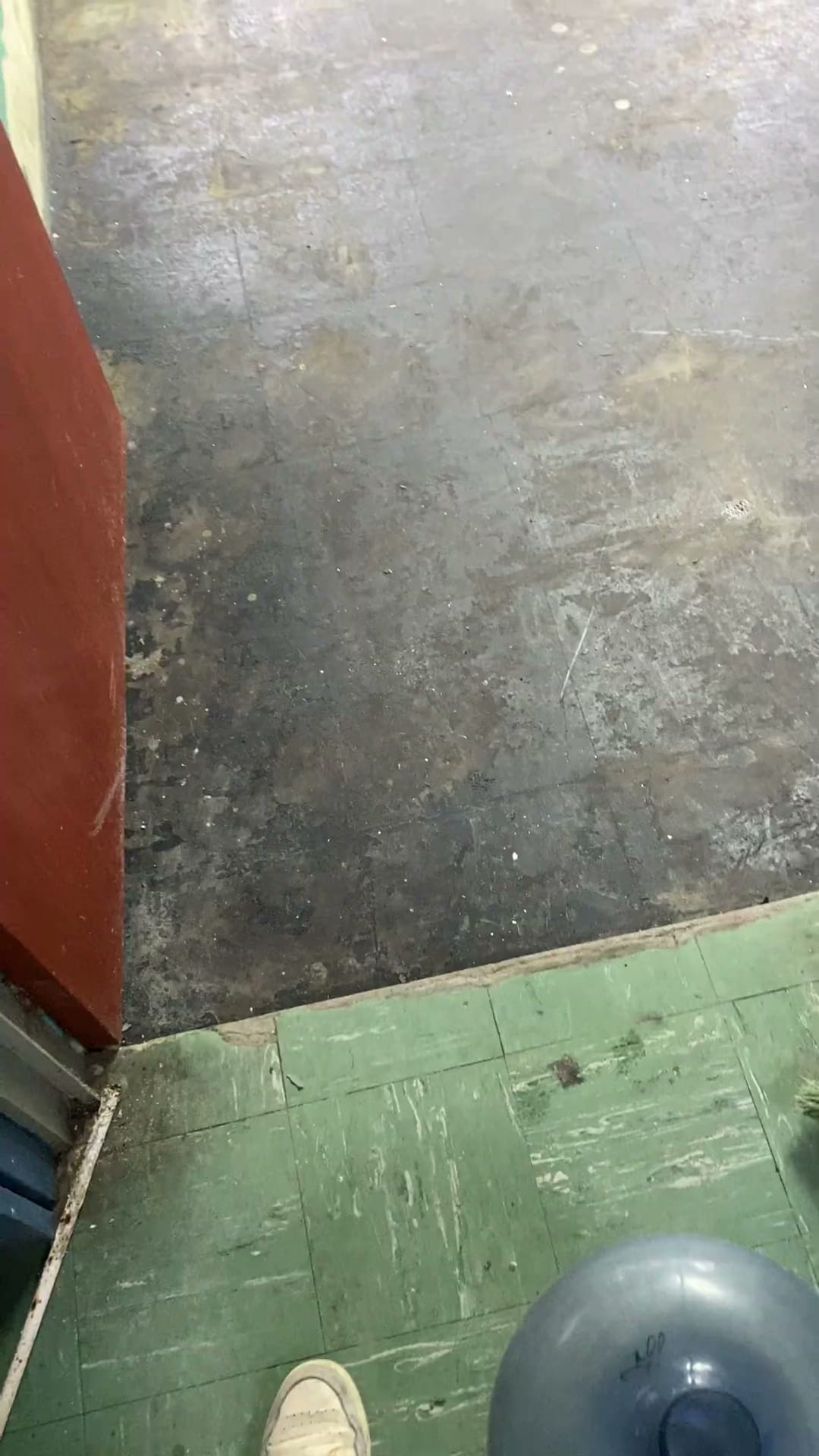 Limpieza Sede Psicologia — foto 20