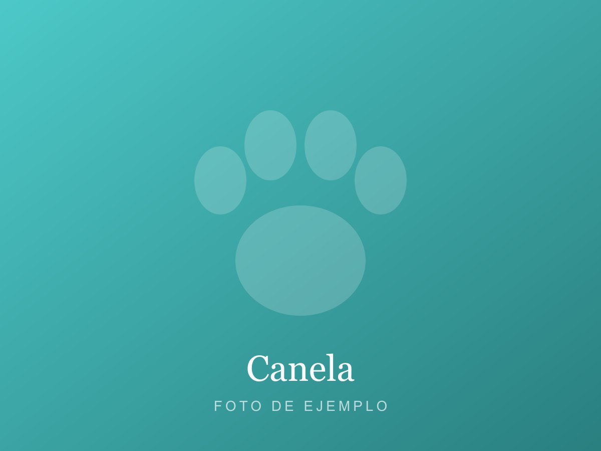 Foto de Canela
